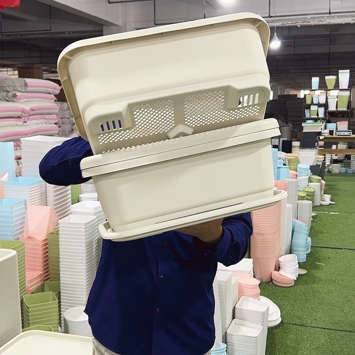 小菜盆长38宽28高14米色3只带托