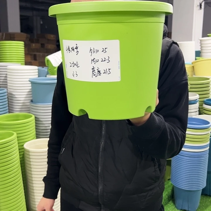 特价4号口25高21.5果绿色5支无托