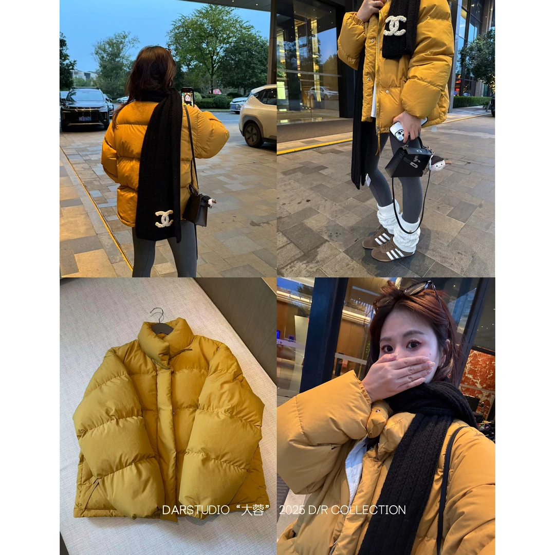 【191g】DAR STUDIO 【芬兰岛屿】90白鹅绒冬季新款立领时尚羽绒服