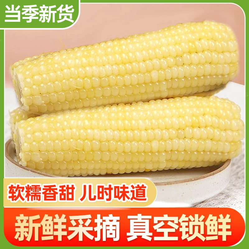 【白糯玉米】产地直发糯香甜玉米棒整箱多根真空便携软糯鲜食玉米