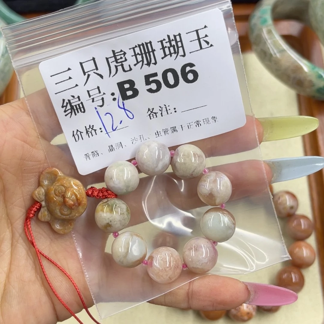 沫***沫硅化珊瑚（珊瑚玉）h未镶嵌