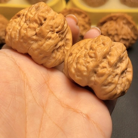 文玩核桃三角蛙一对