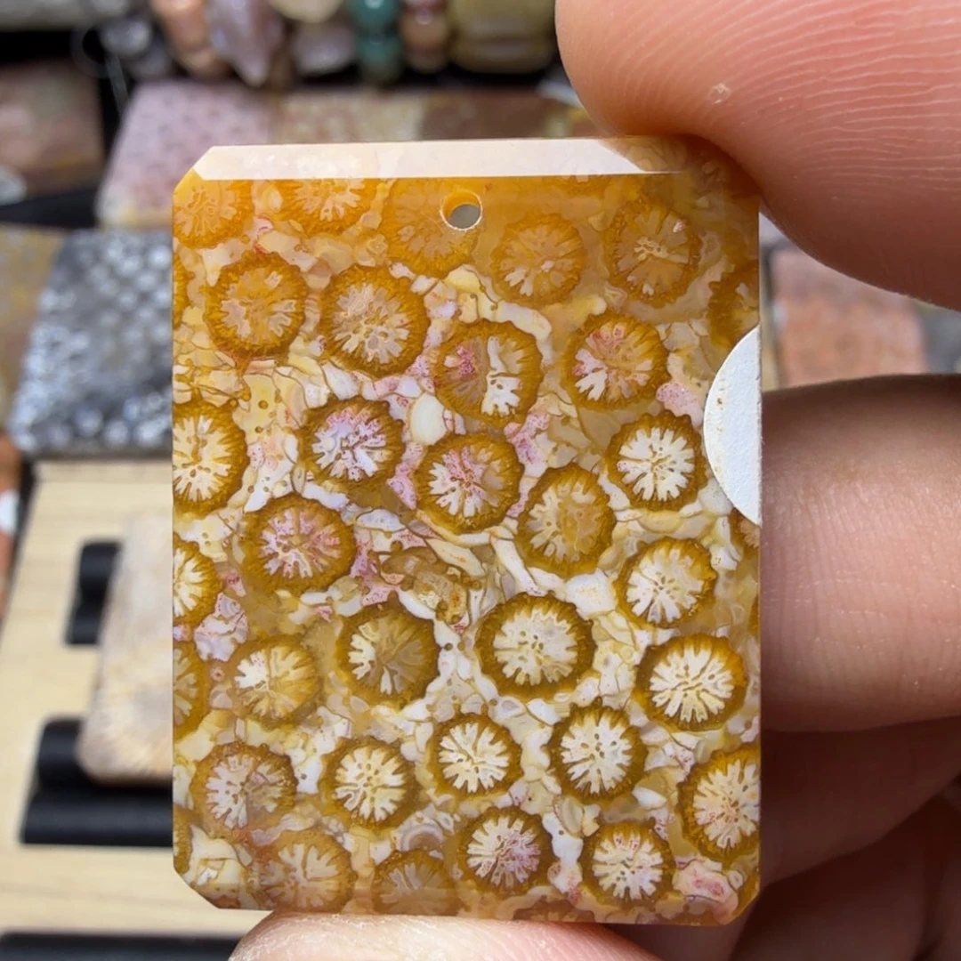 硅化玉未镶嵌纯天然色有机玉石保真色