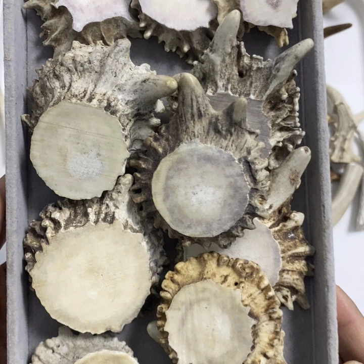 @***艺专拍专拍专拍专拍