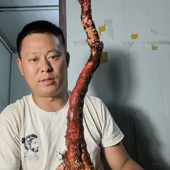 过***烟无花朵盆景素材拍品