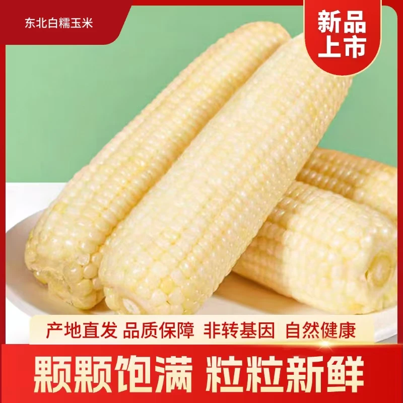 东北头茬白糯玉米软糯香甜低脂轻食代餐