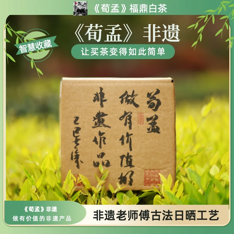 《荀孟》专业藏品明珠白毫银针高山老树原料非遗白茶老师傅碳焙日晒
