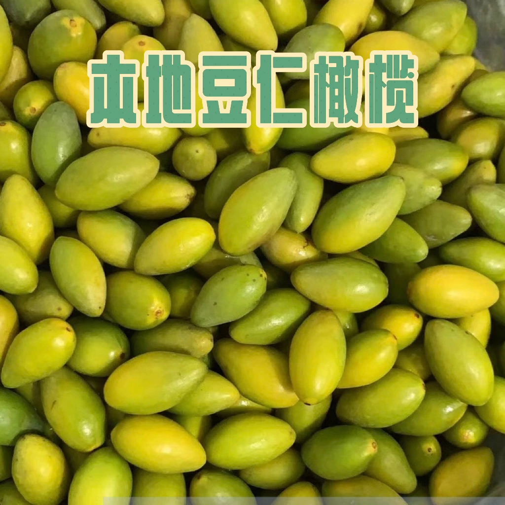 潮汕金黄豆仁橄榄脆香橄榄金灶本地豆仁橄榄橄榄