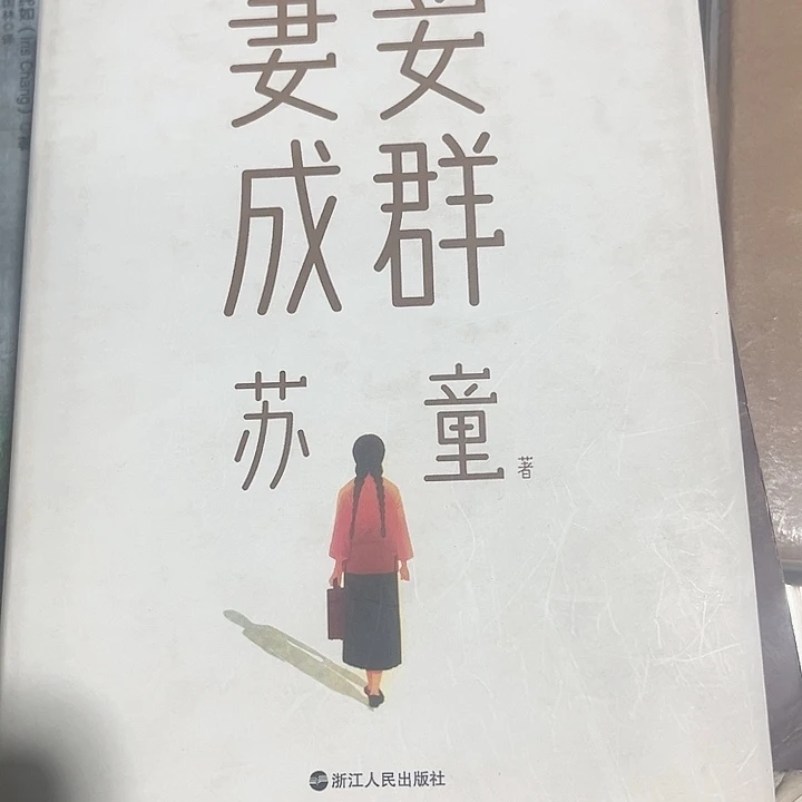 妻妾成群全新精装