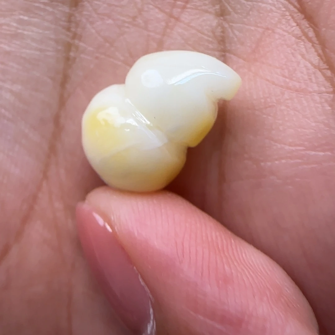 琥珀颈饰未镶嵌琥珀