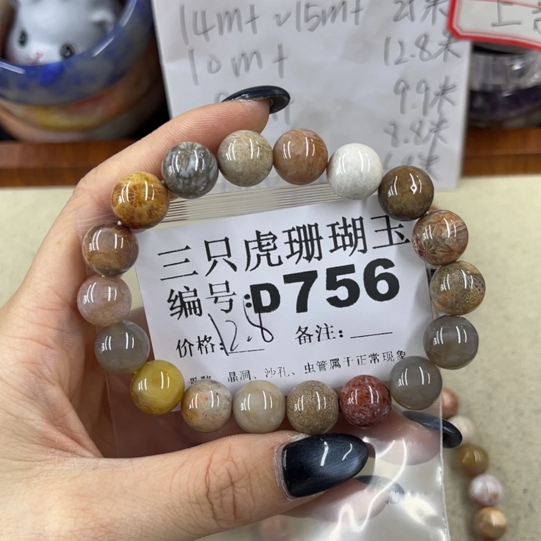 木****未镶嵌h硅化珊瑚（珊瑚玉）