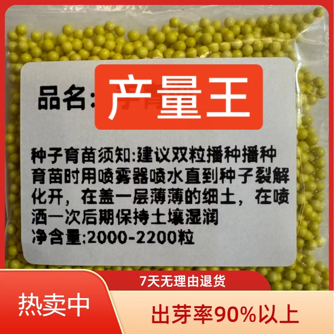 产量王/适合云贵川陕海拔2400以下地区，产量高易烘烤好管理