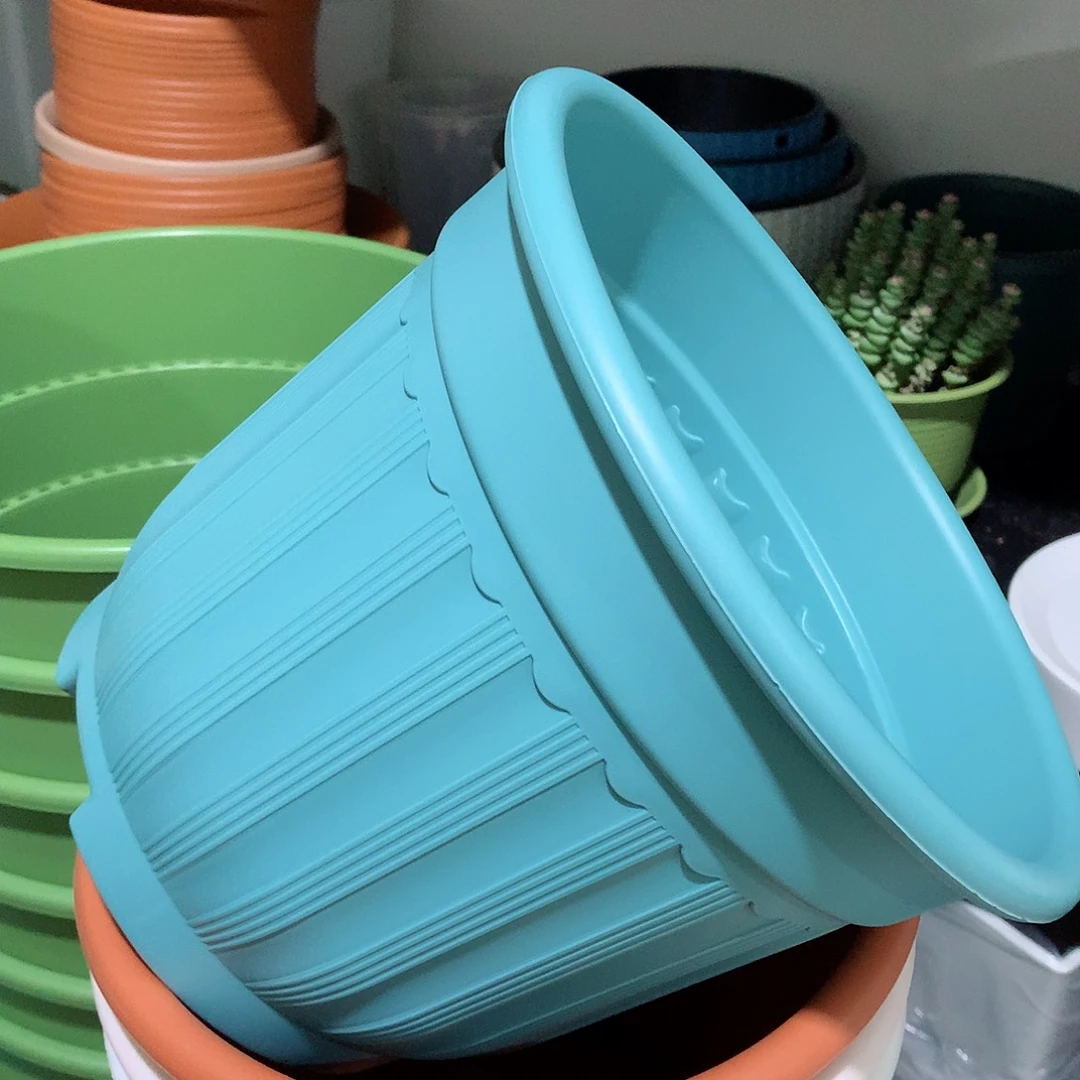 树脂罗马口24蓝4个无托