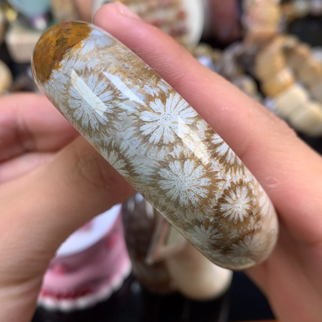 【闪购商品】颈饰未镶嵌硅化珊瑚（珊瑚玉）75号白皮赞比59圈