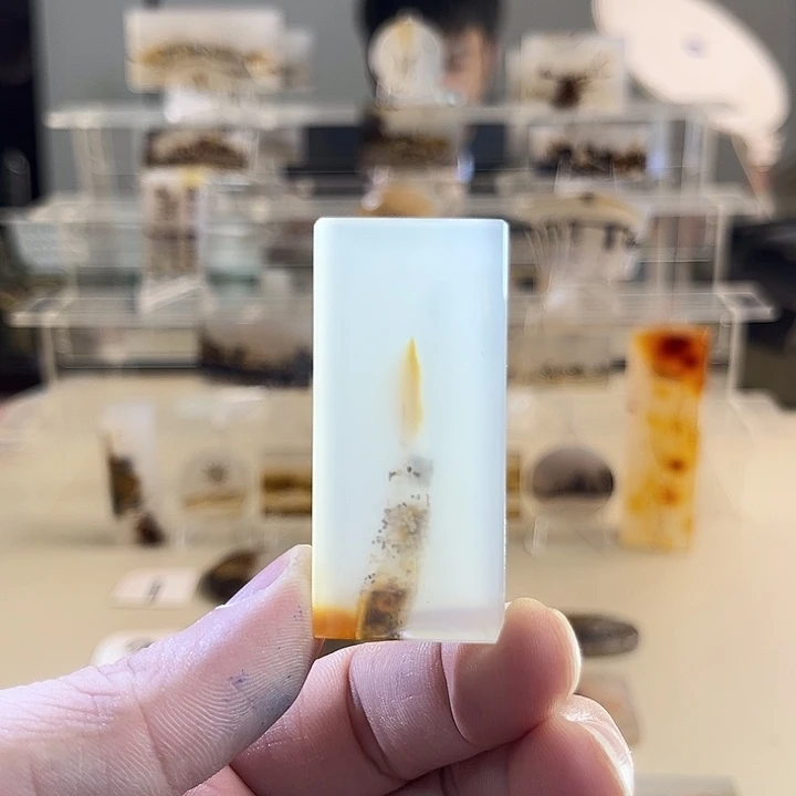青***化未镶嵌吊坠(不含链)玛瑙/玉髓