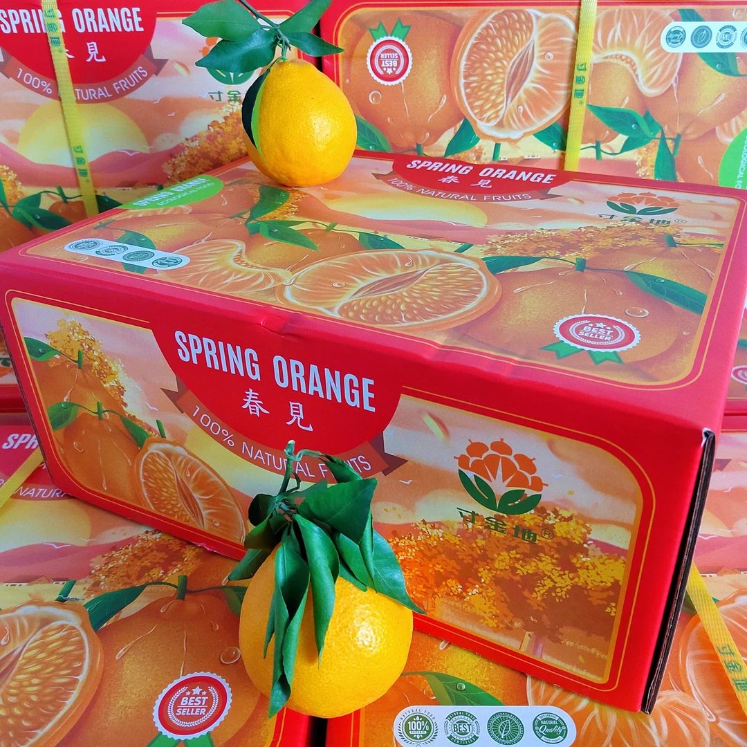 【顺丰包邮】寸金地春见耙耙柑大果精选新鲜多汁柑橘寸金地耙耙柑