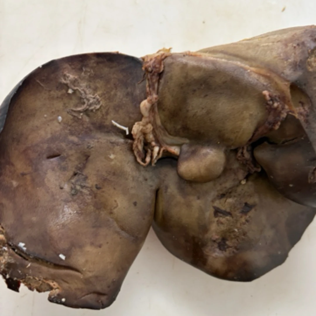 清真五香羊肝（一块，一斤多）火锅食材