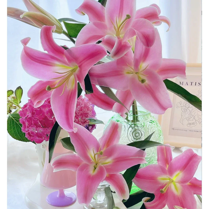 【藩篱匠人/普拉芬多】粉色单瓣香水百合 办公居家装饰水养鲜切花