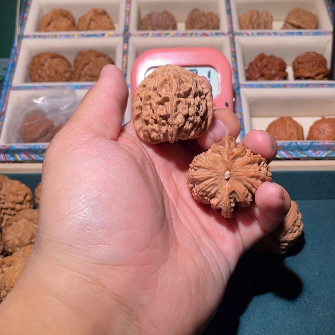 文玩核桃把件是***！5599889999