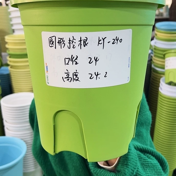 正品圆形控根口24高24果绿色8个无托