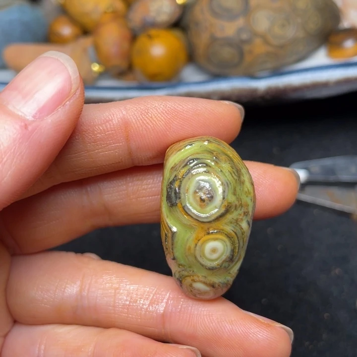 石材九眼页岩钱币石原石52