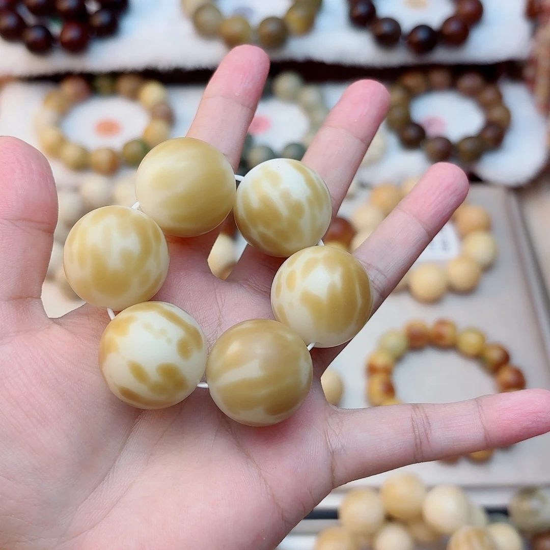 u***6菩提根/象牙果手串