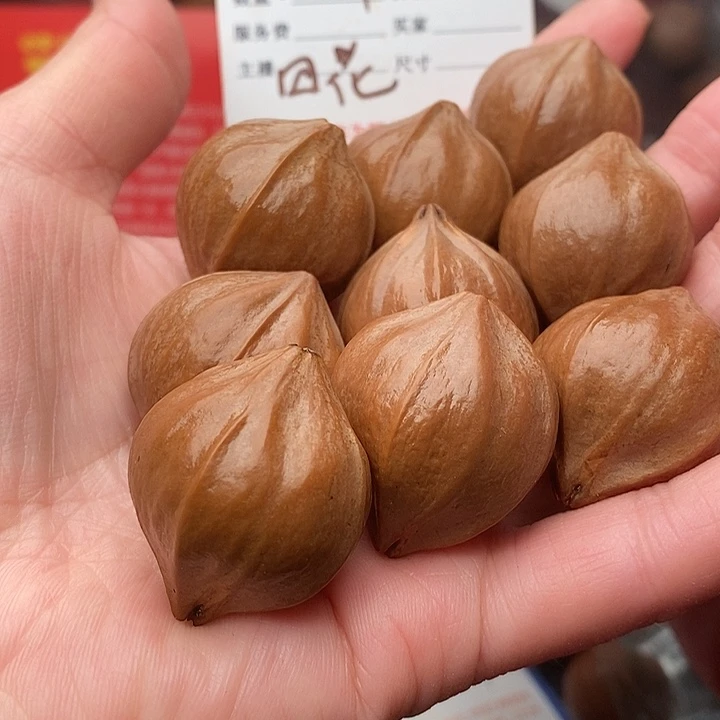 手串/手链橄榄核萧**月