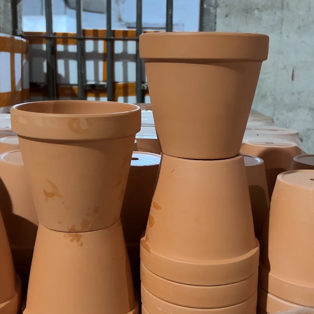 先行版15口14高2个【微瑕】