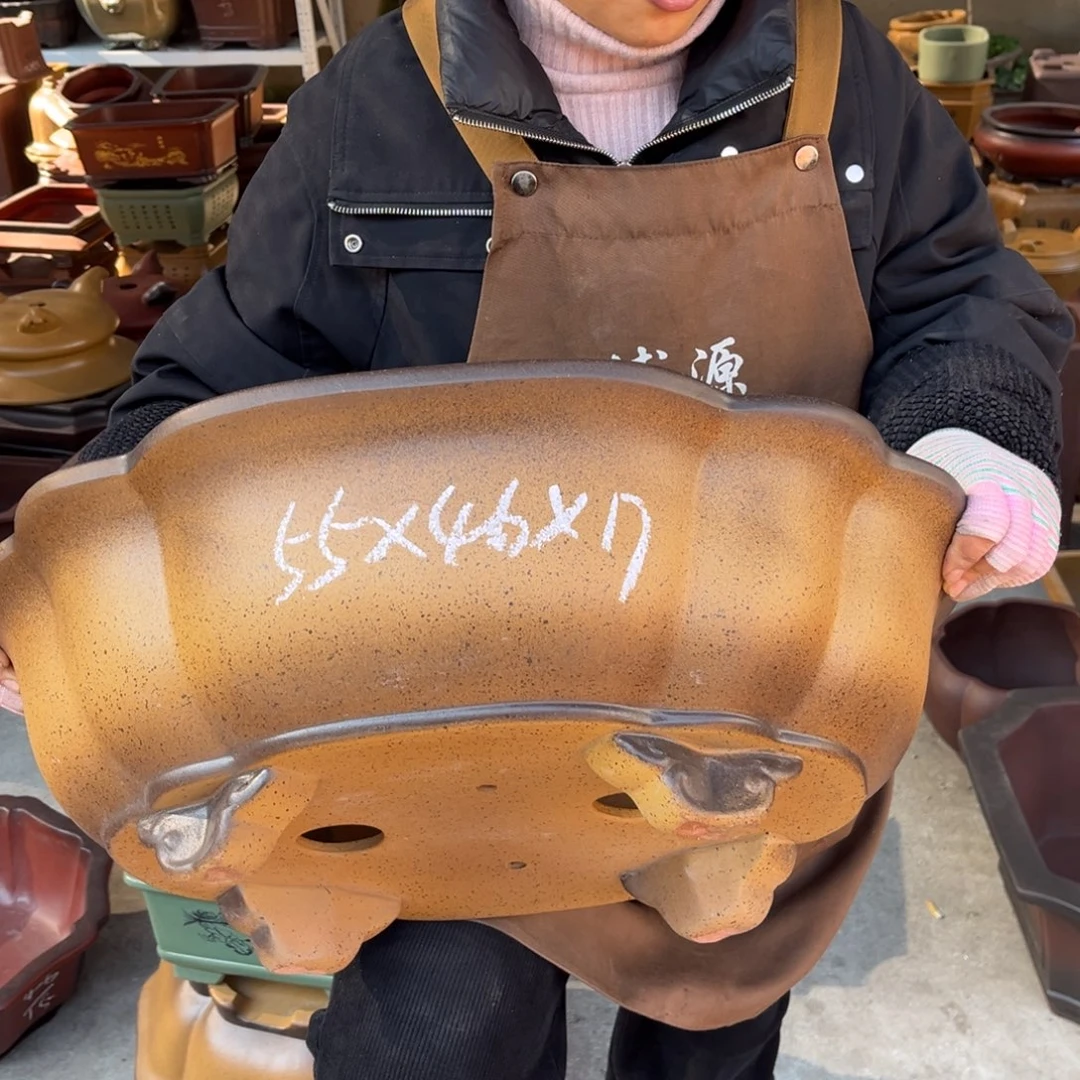 花盆紫砂盆景艺术