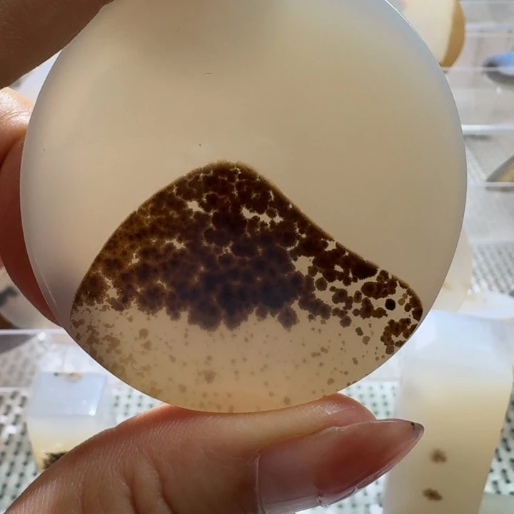 玛瑙/玉髓未镶嵌项链