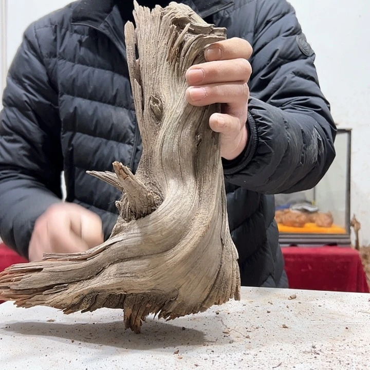柏木古**香我们的生活也是如此