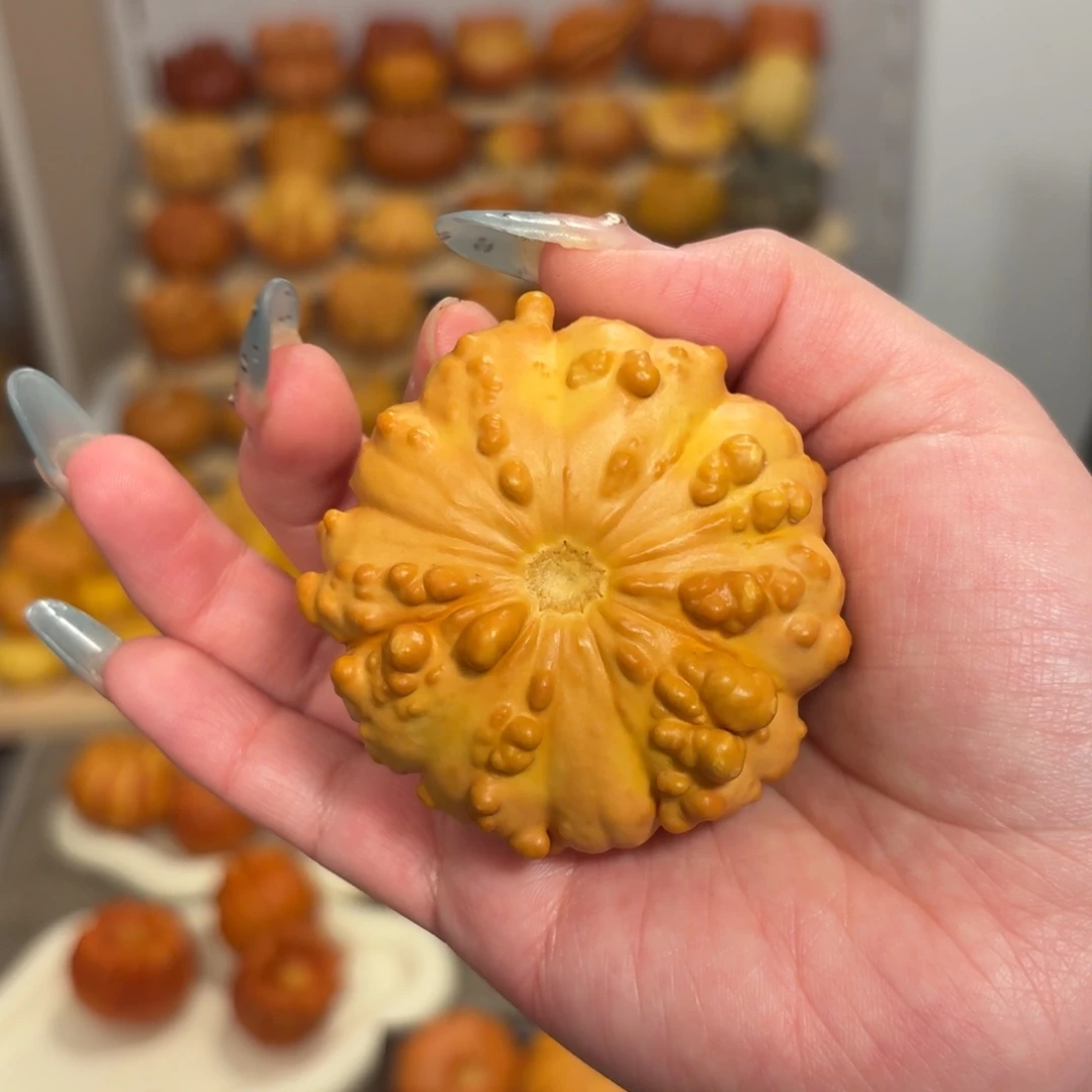 超多疙瘩的花饼饼