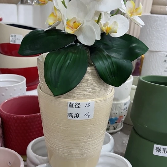 多肉绿植陶瓷花盆
