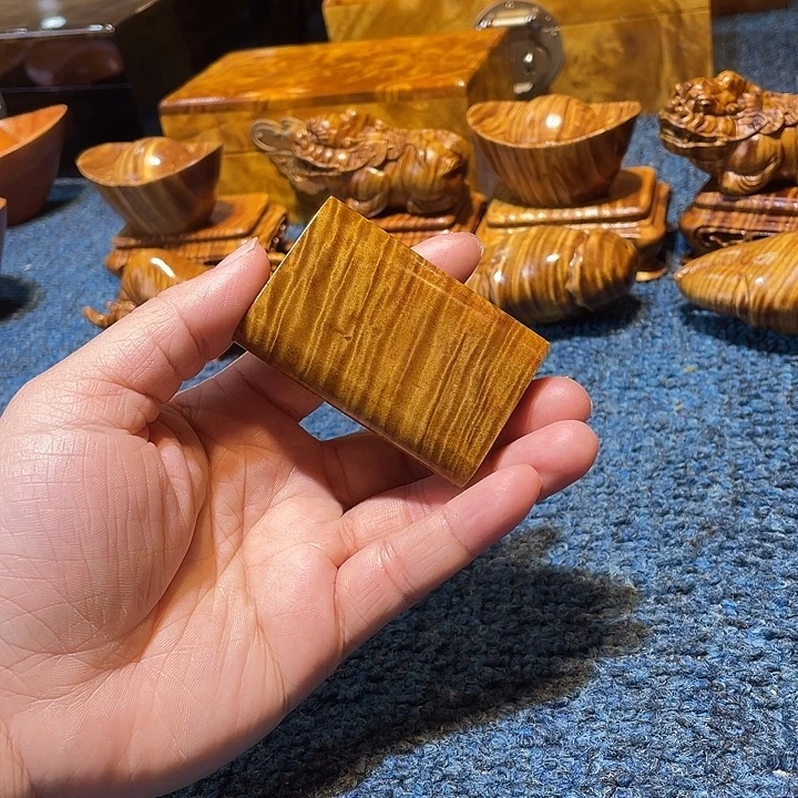 楠木好好看好漂亮