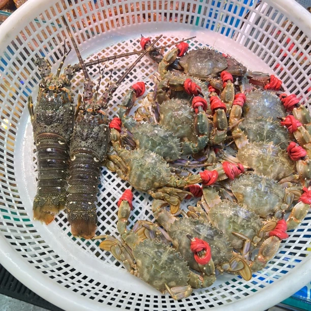 当日断氧海鲜组合 以直播间介绍为主 长春同城小时达