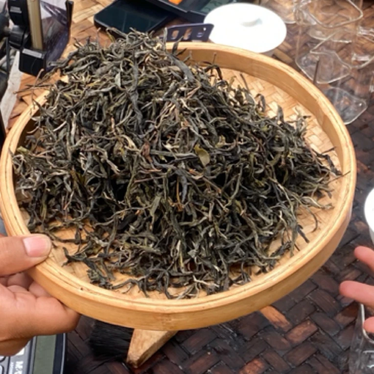 *2025年【曼岗.大箐队.古树.春】晒青茶【生散茶】-6月22日【18】