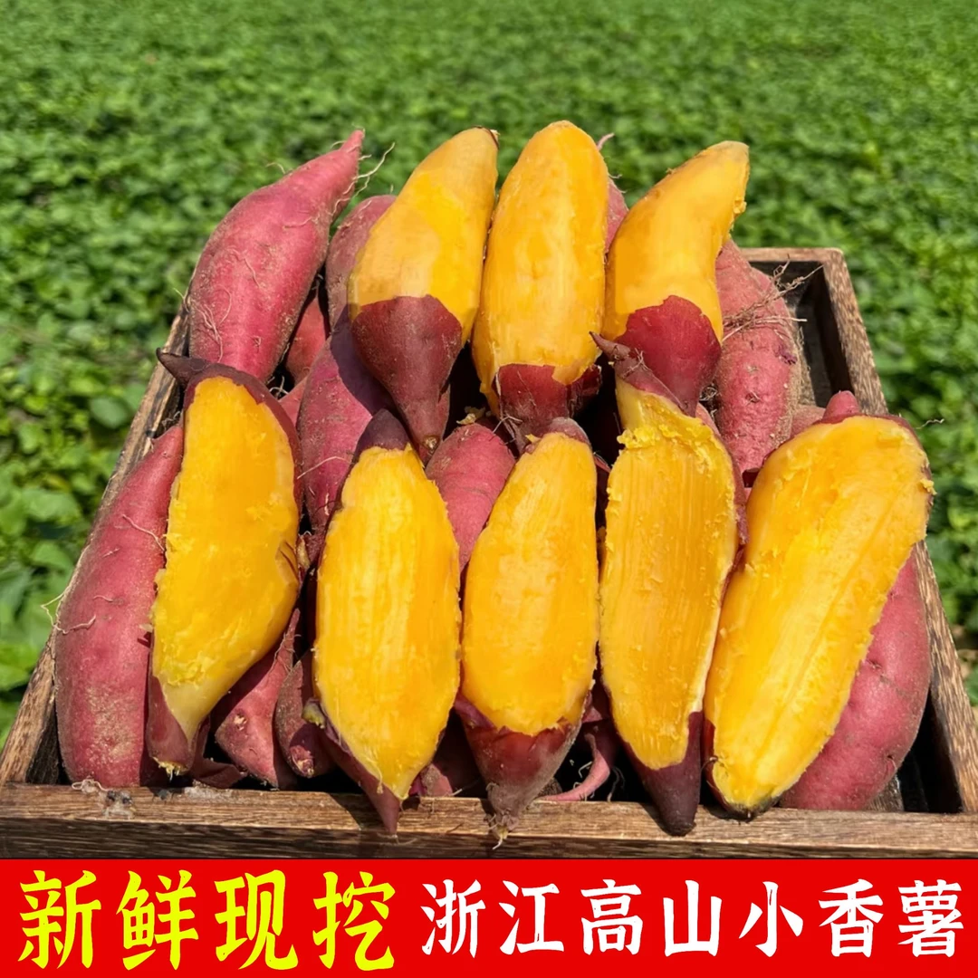 浙江天目山小香薯五斤装新鲜农产品软糯香甜蜜薯板栗红薯地瓜番薯