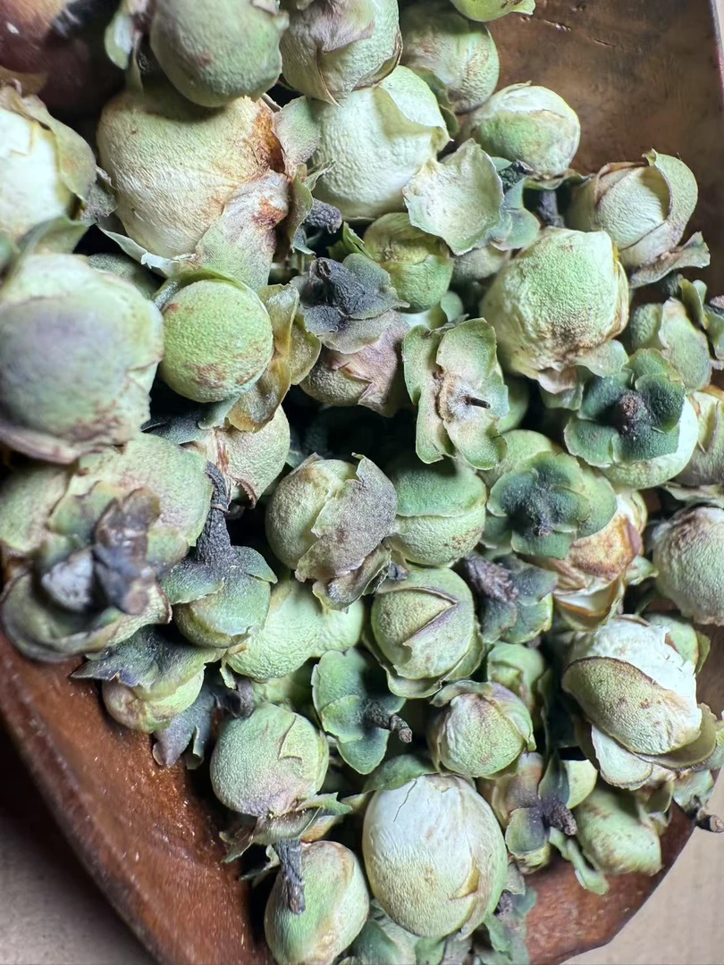 2024福鼎磻溪大洋山山茶花（食用农产品）