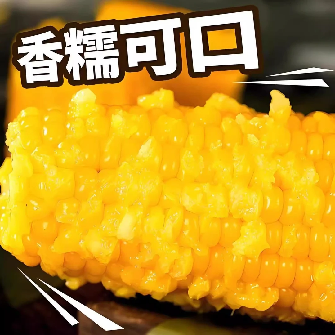 【可试吃2根】14根正宗东北黄糯玉米整箱14根真空包装黏甜糯玉米