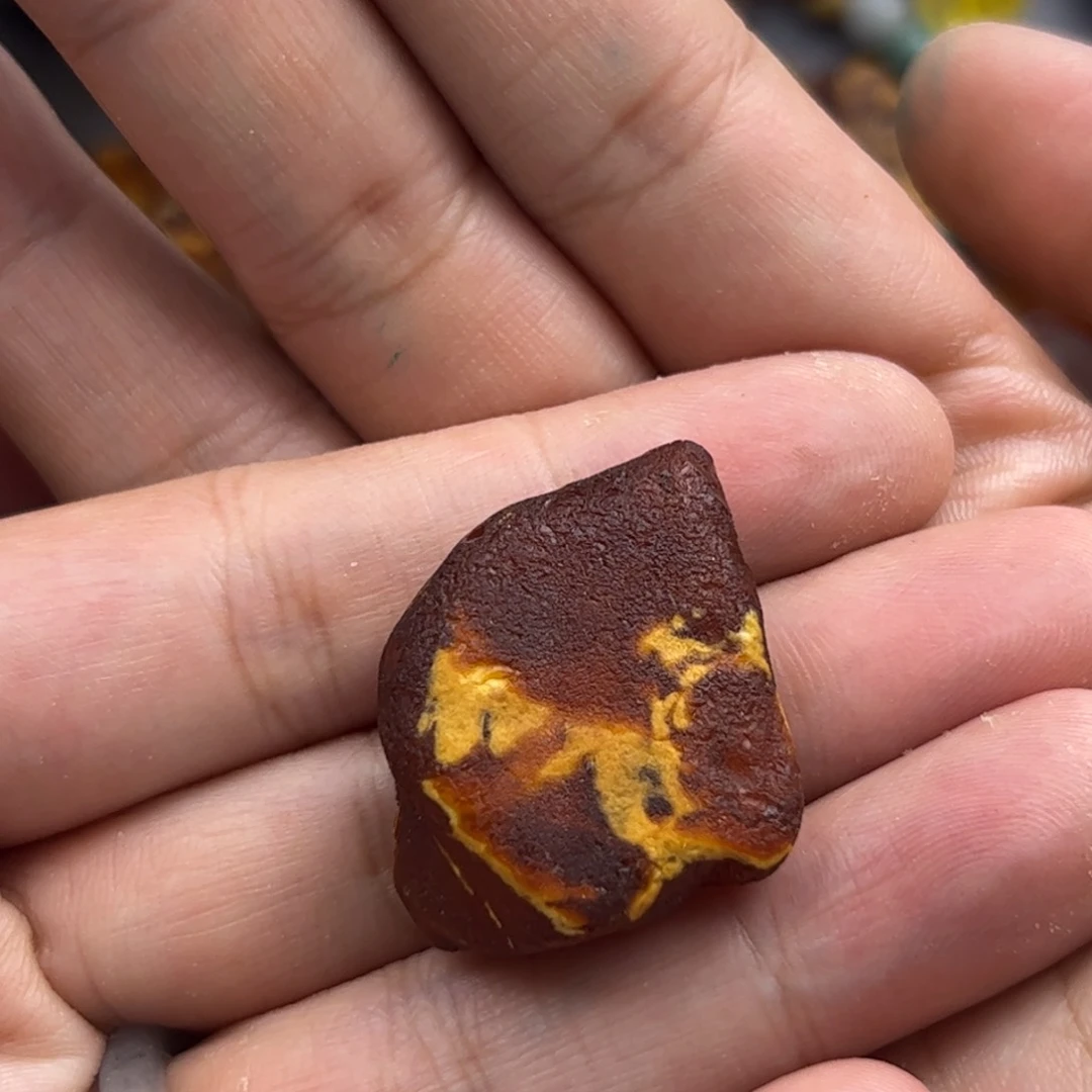 未镶嵌琥珀裸石陈