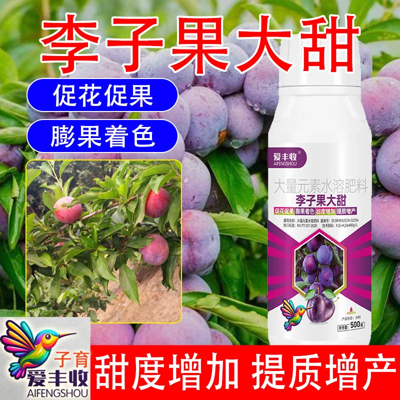 爱丰收李子果大甜李子膨果素膨大素肥料增产叶面肥李子树专用