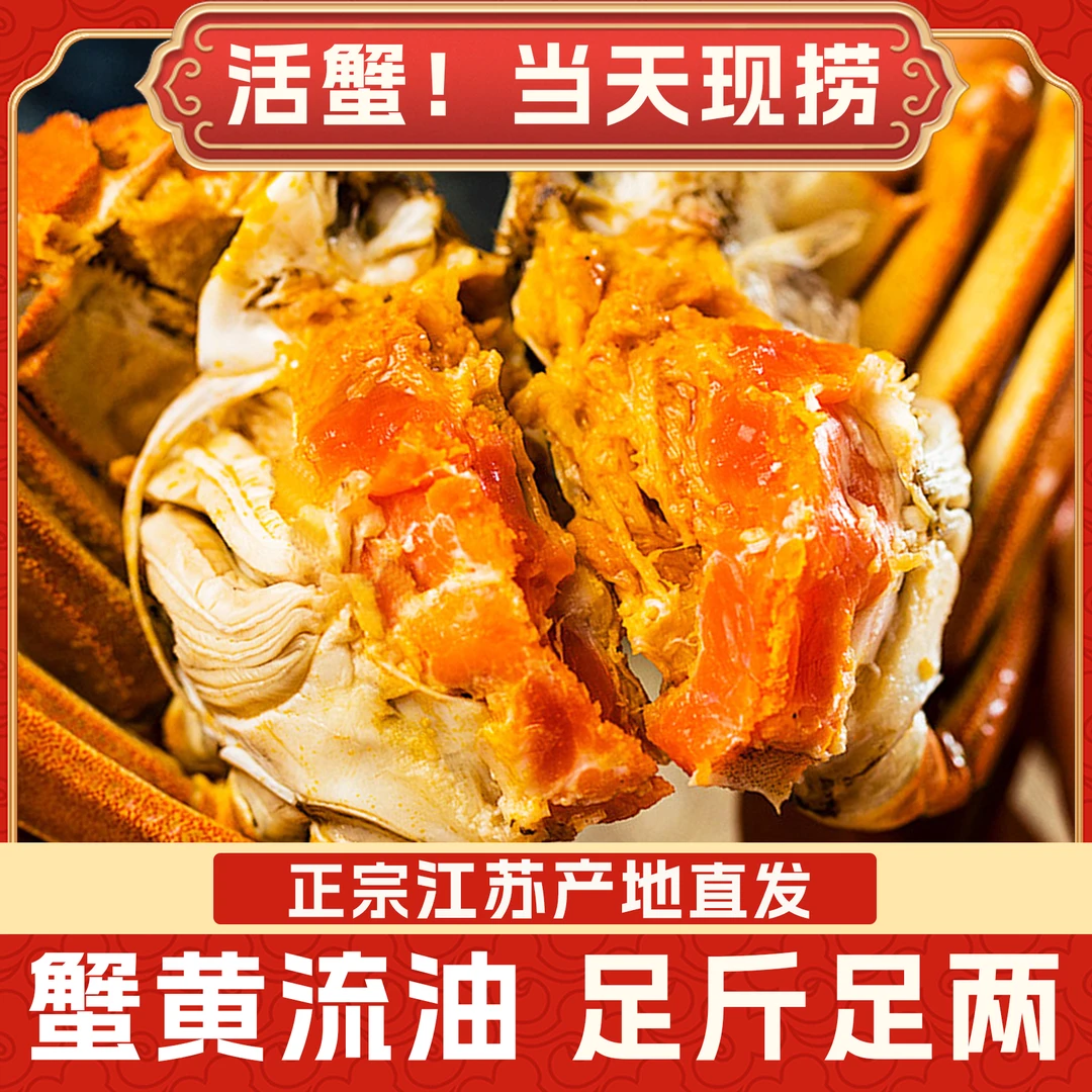 【活蟹现发】精挑3.0-2.7两公蟹2.5-2.2两母蟹共8只送2只顺丰包邮