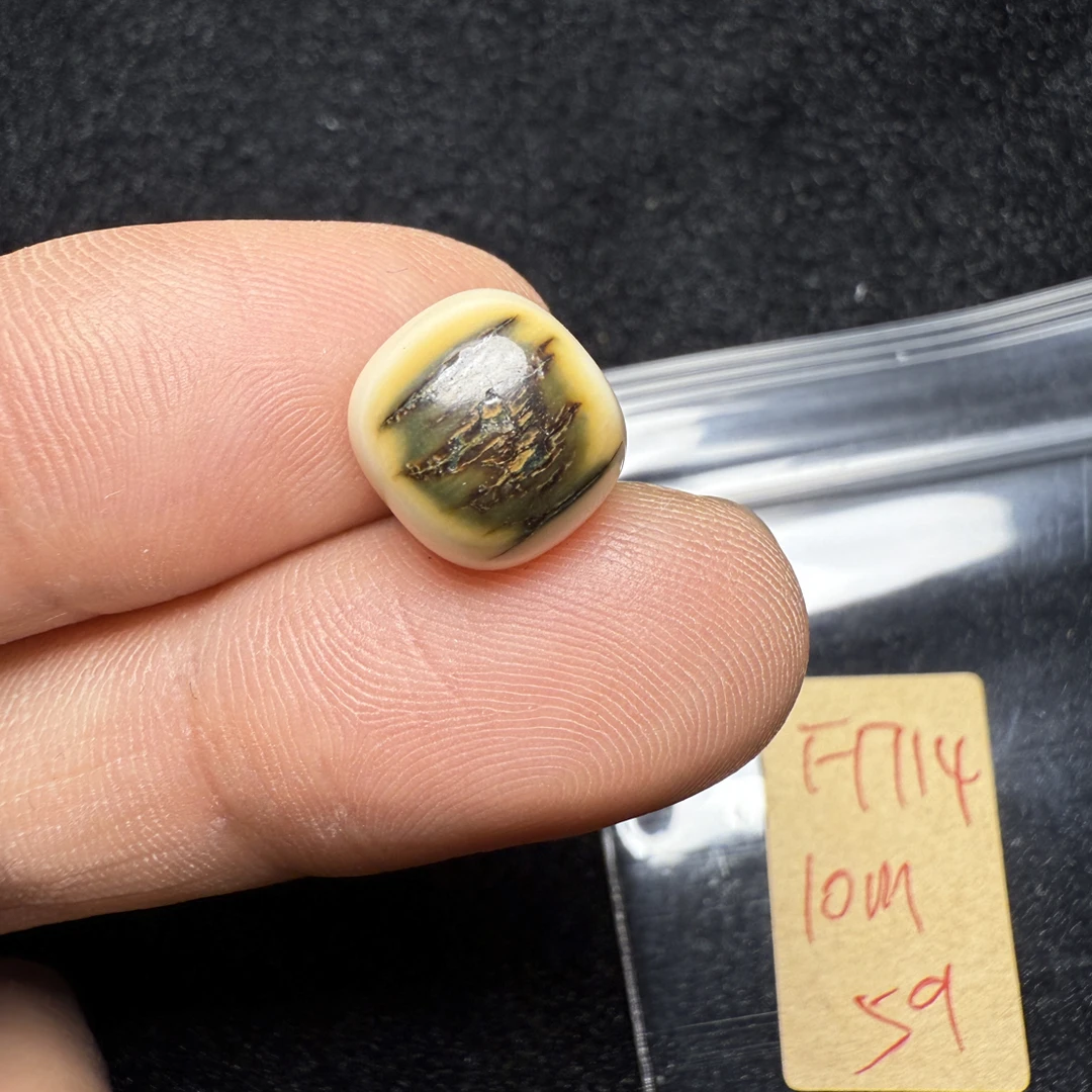 F1714猛犸象牙冰料黄金瞳蓝眼睛老型10*9