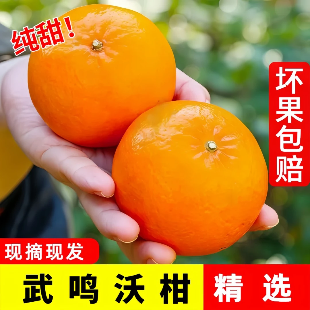 南方果园鲜嫩多汁沃柑新鲜应季水果果园直发皮薄多汁5/9斤装爆汁