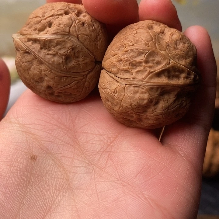 吊坠文玩核桃铁核桃4