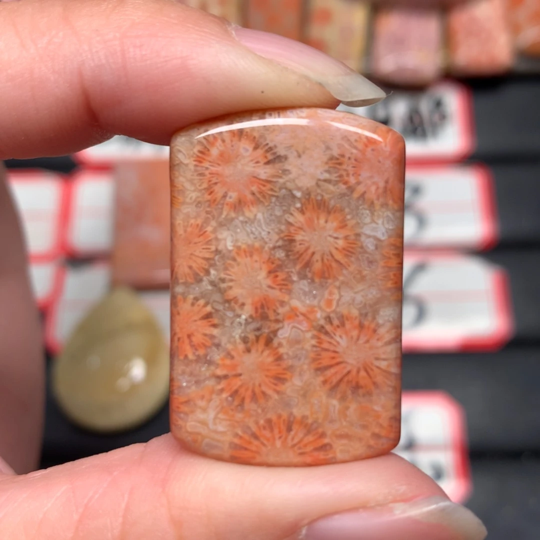 【闪购商品】未镶嵌颈饰硅化玉堇***y