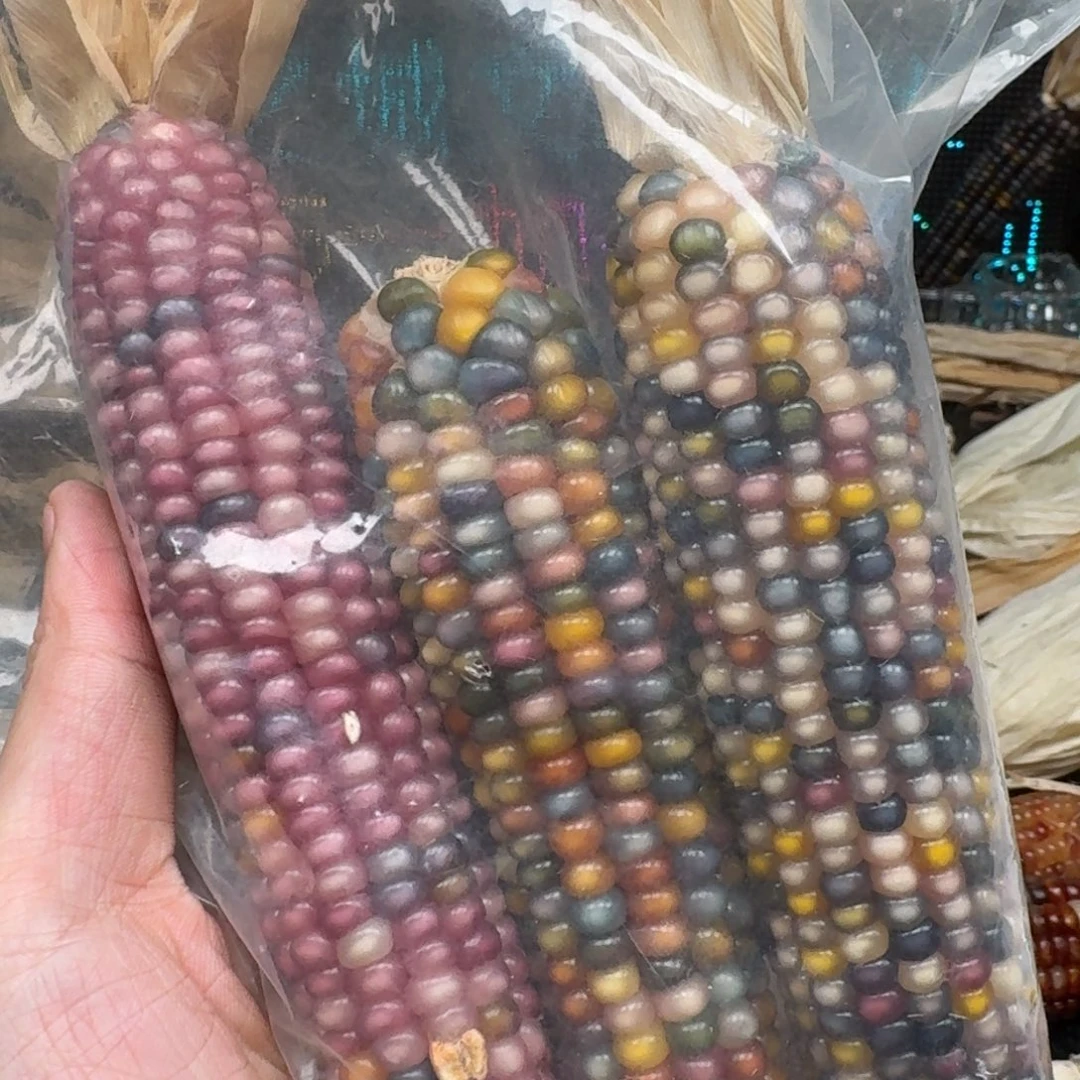 柏香籽/百香籽吊坠x****7