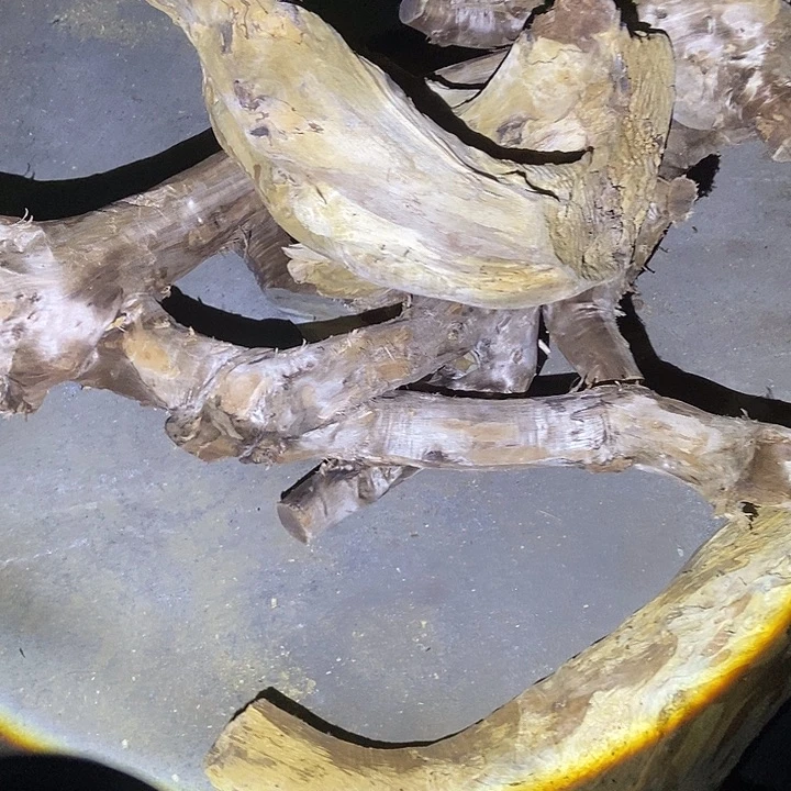 茂***艺手串/手链楠木（金丝楠）