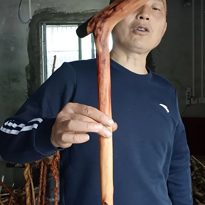 稳定木向*华贵州檬子木   铁马鞭   根艺  半成品