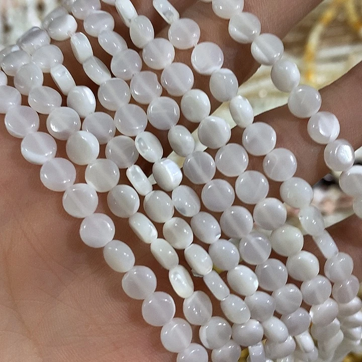 6mm马蹄螺圆片一条